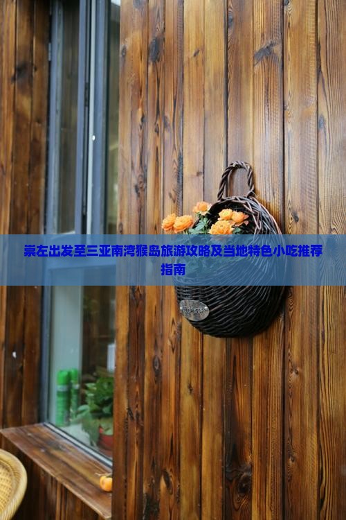 崇左出发至三亚南湾猴岛旅游攻略及当地特色小吃推荐指南