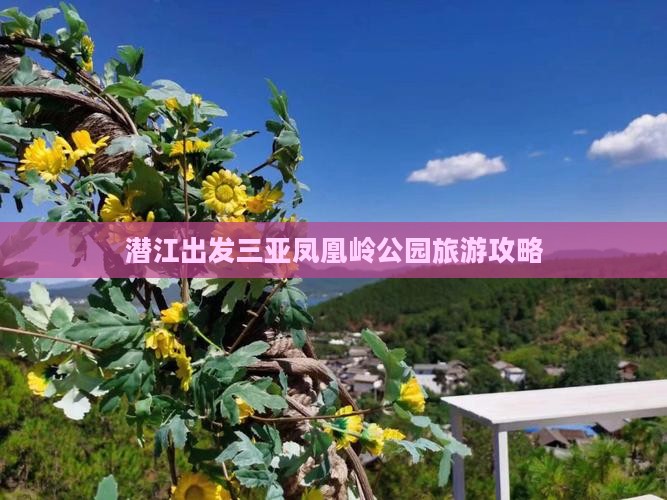 潜江出发三亚凤凰岭公园旅游攻略