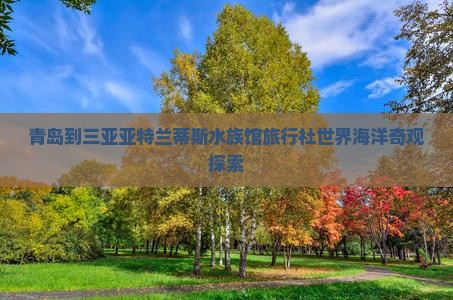 青岛到三亚亚特兰蒂斯水族馆旅行社世界海洋奇观探索