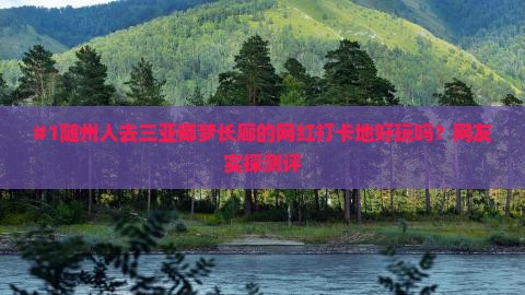 #1随州人去三亚椰梦长廊的网红打卡地好玩吗？网友实探测评