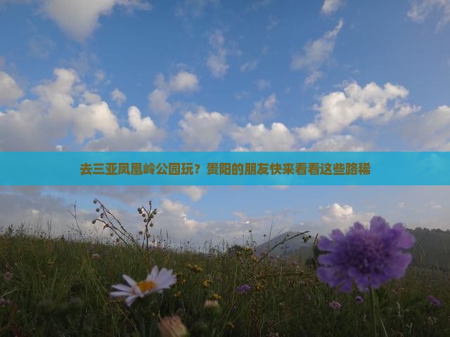 去三亚凤凰岭公园玩？贵阳的朋友快来看看这些路稀