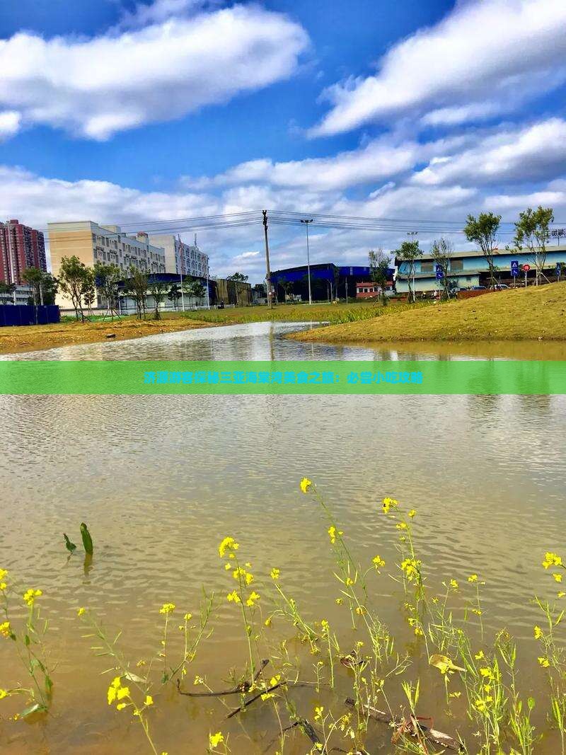 济源游客探秘三亚海棠湾美食之旅：必尝小吃攻略