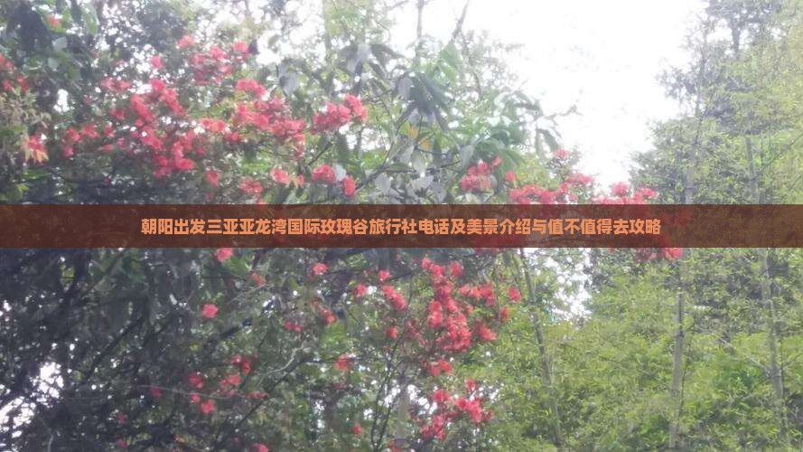 朝阳出发三亚亚龙湾国际玫瑰谷旅行社电话及美景介绍与值不值得去攻略