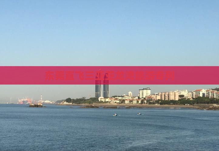 东莞直飞三亚亚龙湾旅游专列