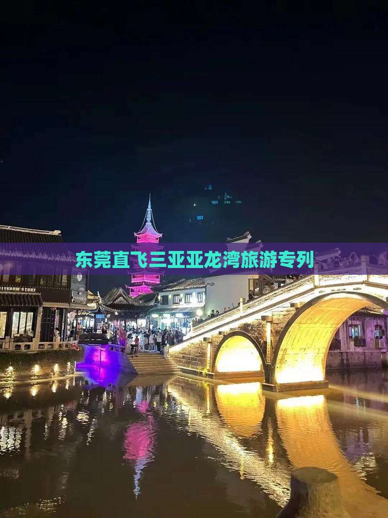 东莞直飞三亚亚龙湾旅游专列