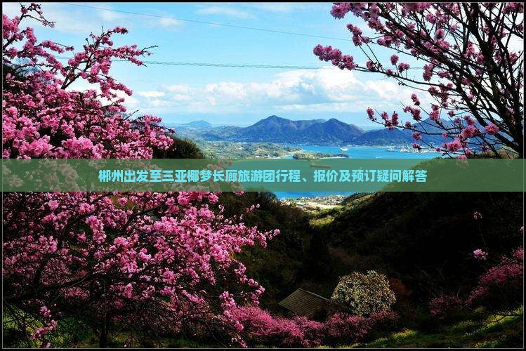 郴州出发至三亚椰梦长廊旅游团行程、报价及预订疑问解答