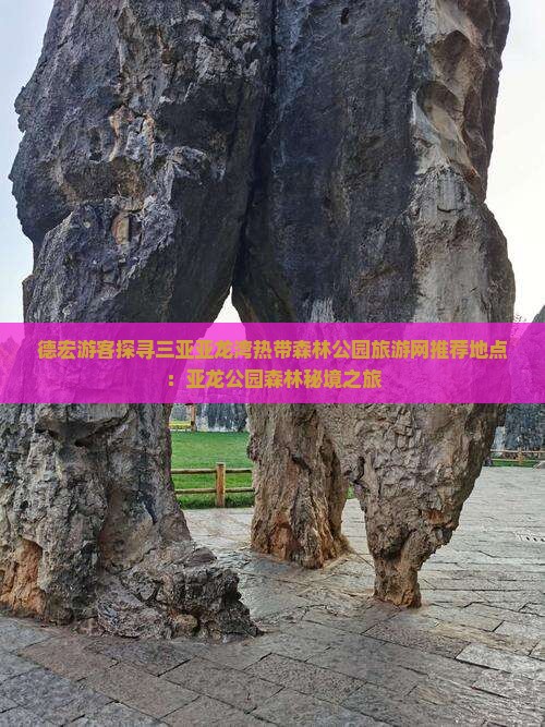 德宏游客探寻三亚亚龙湾热带森林公园旅游网推荐地点：亚龙公园森林秘境之旅
