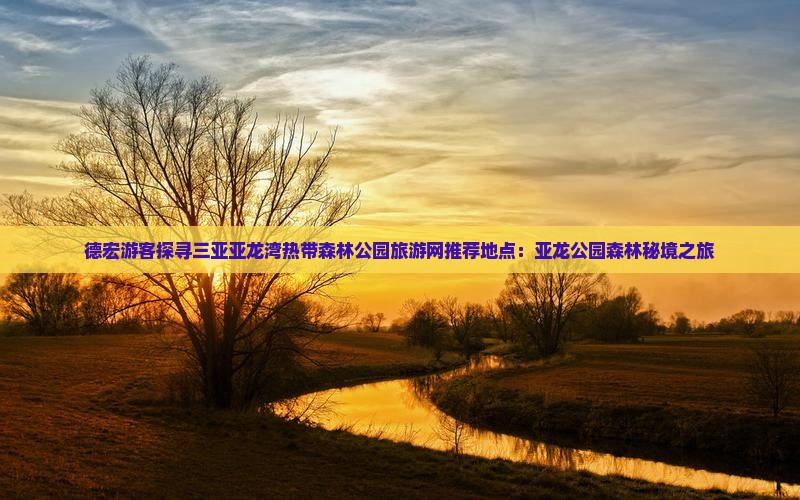 德宏游客探寻三亚亚龙湾热带森林公园旅游网推荐地点：亚龙公园森林秘境之旅