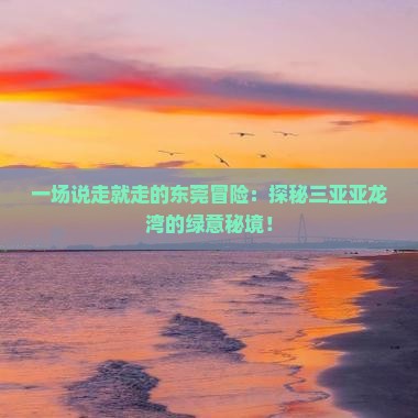 一场说走就走的东莞冒险：探秘三亚亚龙湾的绿意秘境！