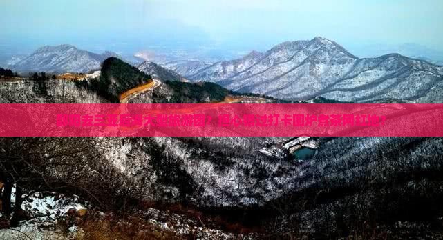 邵阳去三亚后海大型旅游团？担心错过打卡围炉煮茶网红地？