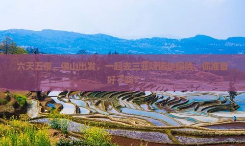 六天五夜，佛山出发，一起去三亚呀诺达探险，你准备好了吗？