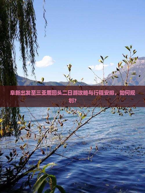 阜新出发至三亚鹿回头二日游攻略与行程安排，如何规划？
