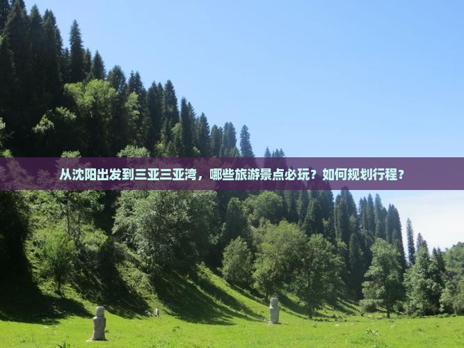 从沈阳出发到三亚三亚湾，哪些旅游景点必玩？如何规划行程？