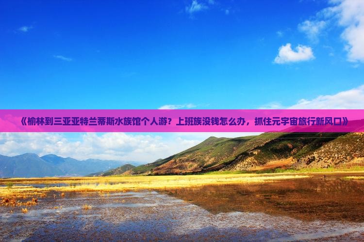 《榆林到三亚亚特兰蒂斯水族馆个人游？上班族没钱怎么办，抓住元宇宙旅行新风口》
