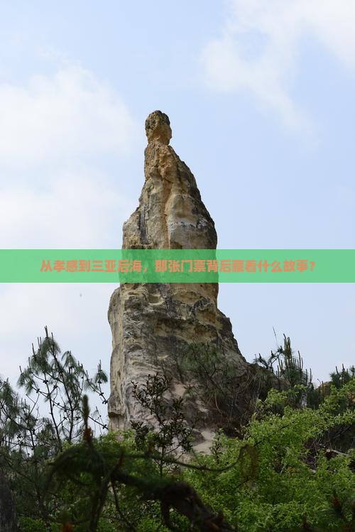 从孝感到三亚后海，那张门票背后藏着什么故事？
