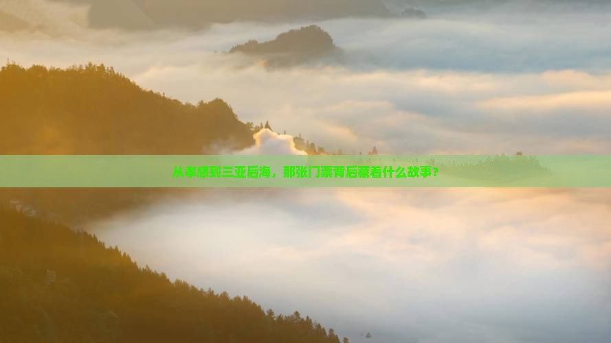 从孝感到三亚后海，那张门票背后藏着什么故事？