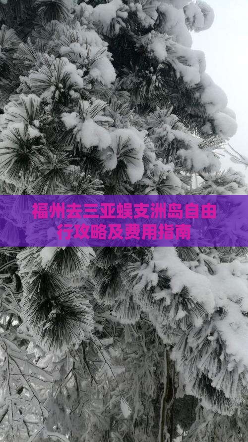 福州去三亚蜈支洲岛自由行攻略及费用指南