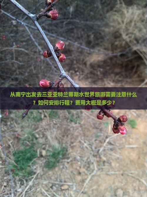 从南宁出发去三亚亚特兰蒂斯水世界旅游需要注意什么？如何安排行程？费用大概是多少？