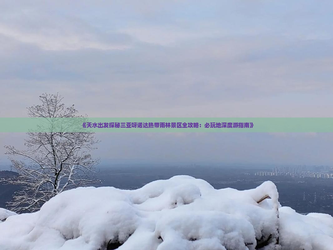 《天水出发探秘三亚呀诺达热带雨林景区全攻略：必玩地深度游指南》