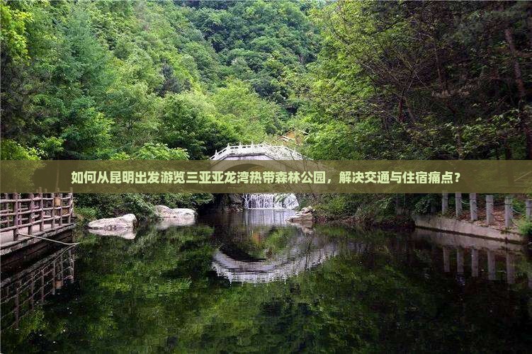 如何从昆明出发游览三亚亚龙湾热带森林公园，解决交通与住宿痛点？