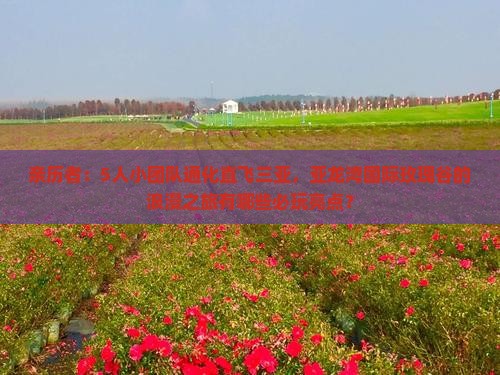 亲历者：5人小团队通化直飞三亚，亚龙湾国际玫瑰谷的浪漫之旅有哪些必玩亮点？