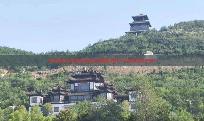 如何规划从阜新出发至三亚鹿回头的一日游行程与攻略？