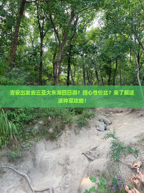 吉安出发去三亚大东海四日游？担心性价比？来了解这波种草攻略！