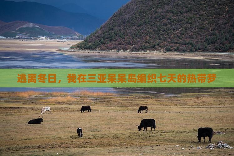 逃离冬日，我在三亚呆呆岛编织七天的热带梦