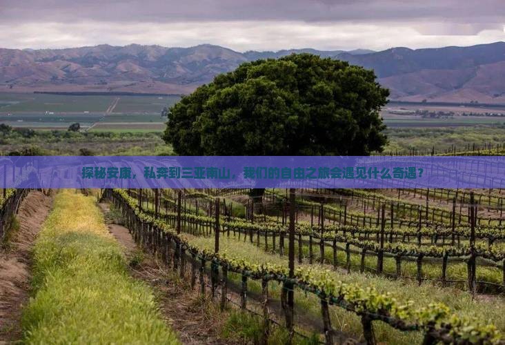 探秘安康，私奔到三亚南山，我们的自由之旅会遇见什么奇遇？