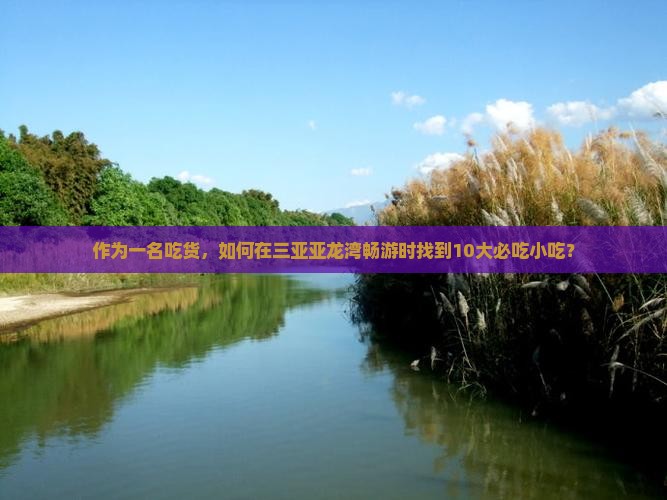 作为一名吃货，如何在三亚亚龙湾畅游时找到10大必吃小吃？