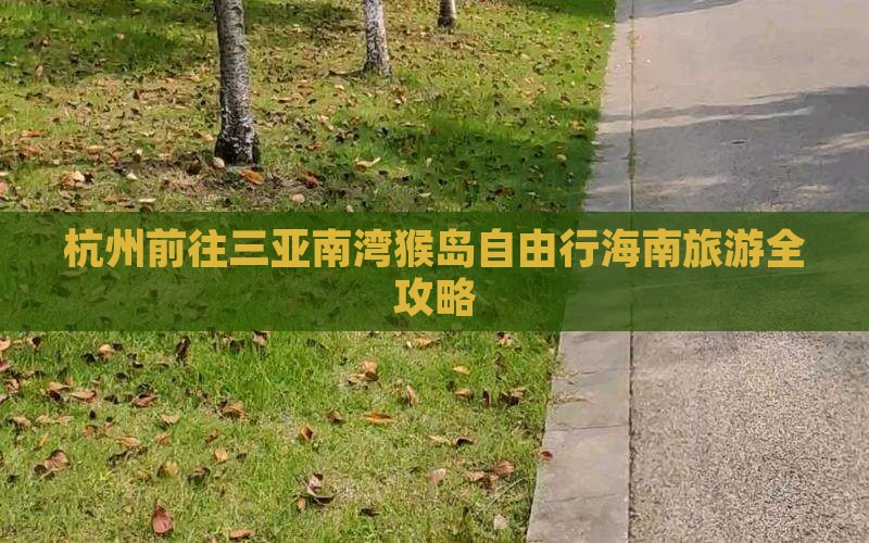 杭州前往三亚南湾猴岛自由行海南旅游全攻略