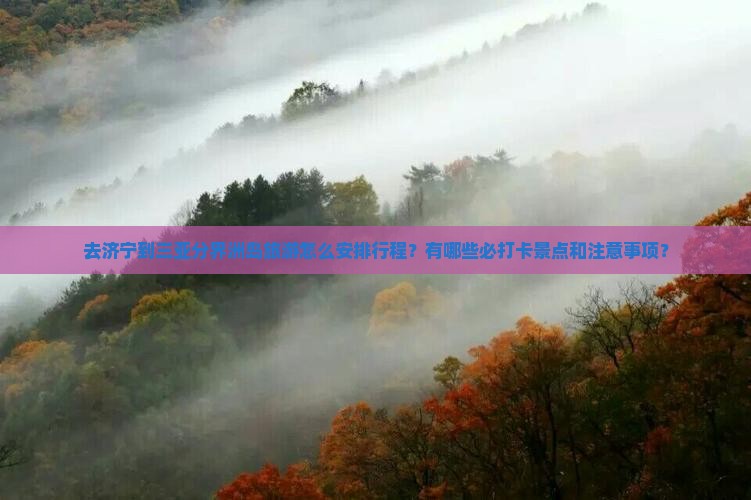 去济宁到三亚分界洲岛旅游怎么安排行程？有哪些必打卡景点和注意事项？