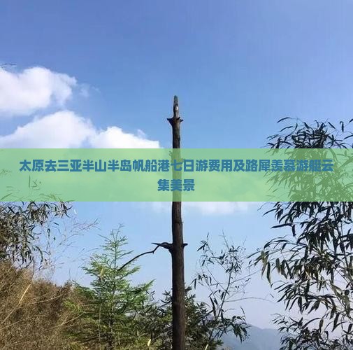 太原去三亚半山半岛帆船港七日游费用及路犀羡慕游艇云集美景