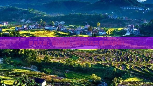梦寻天涯：通辽出发，如何邂逅三亚西岛的美？