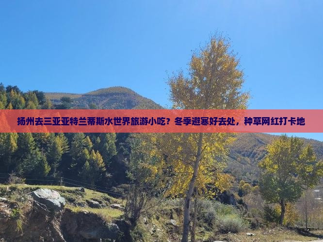 扬州去三亚亚特兰蒂斯水世界旅游小吃？冬季避寒好去处，种草网红打卡地