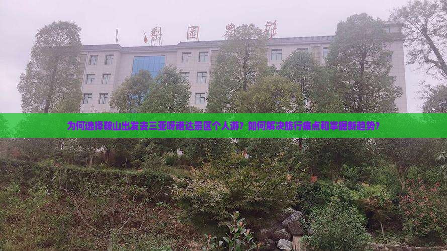 为何选择鞍山出发去三亚呀诺达景区个人游？如何解决旅行痛点和掌握新趋势？
