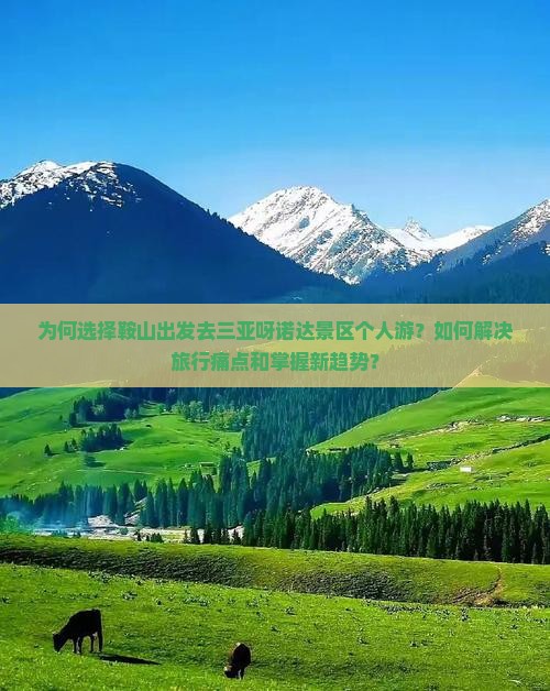 为何选择鞍山出发去三亚呀诺达景区个人游？如何解决旅行痛点和掌握新趋势？