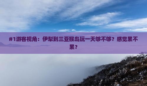 #1游客视角：伊犁到三亚猴岛玩一天够不够？感觉累不累？