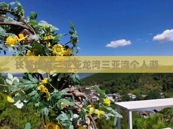 长葛出发三亚亚龙湾三亚湾个人游