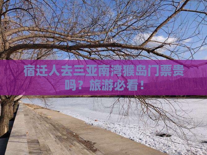 宿迁人去三亚南湾猴岛门票贵吗?旅游必看! 宿迁人去三亚南湾猴岛门票贵吗?旅游必看!
