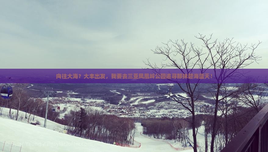 向往大海？大丰出发，我要去三亚凤凰岭公园追寻那抹碧海蓝天！