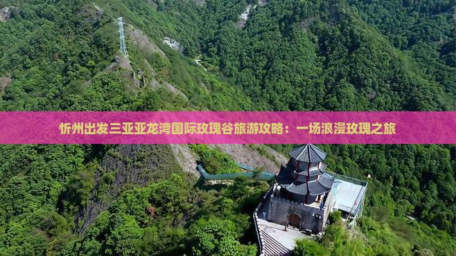 忻州出发三亚亚龙湾国际玫瑰谷旅游攻略：一场浪漫玫瑰之旅