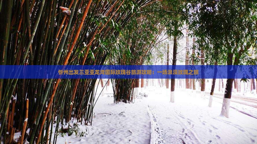 忻州出发三亚亚龙湾国际玫瑰谷旅游攻略：一场浪漫玫瑰之旅