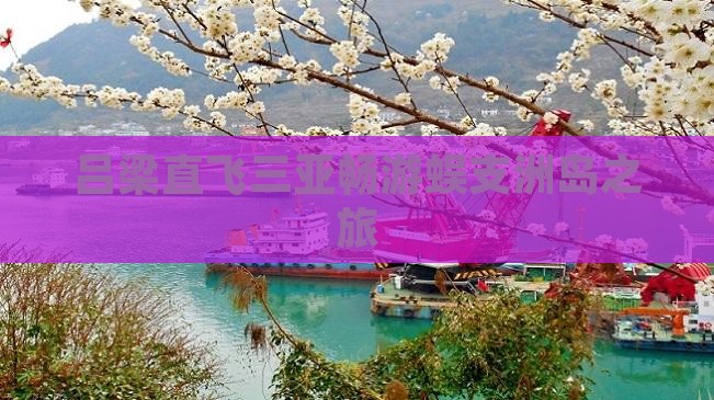 吕梁直飞三亚畅游蜈支洲岛之旅