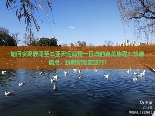 如何实现濮阳至三亚天涯海角一日游的完美旅程？旅游痛点，玩转新潮流旅行！