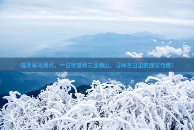 逃离寒冷黑河，一日穿越到三亚南山，寻找冬日里的温暖奇迹！