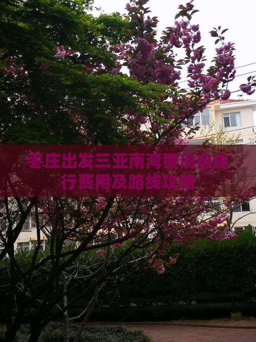 枣庄出发三亚南湾猴岛自由行费用及路线攻略