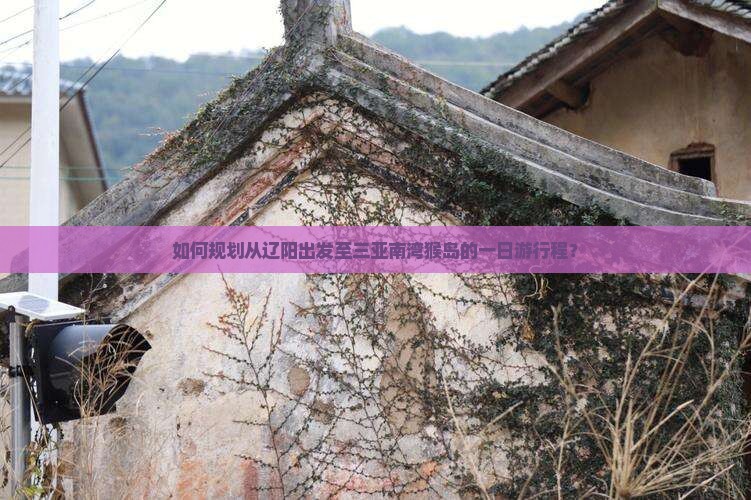 如何规划从辽阳出发至三亚南湾猴岛的一日游行程？