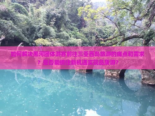 如何解决黑河团体游客前往三亚西岛旅游的痛点和需求？是否能抓住新机遇实现品质游？