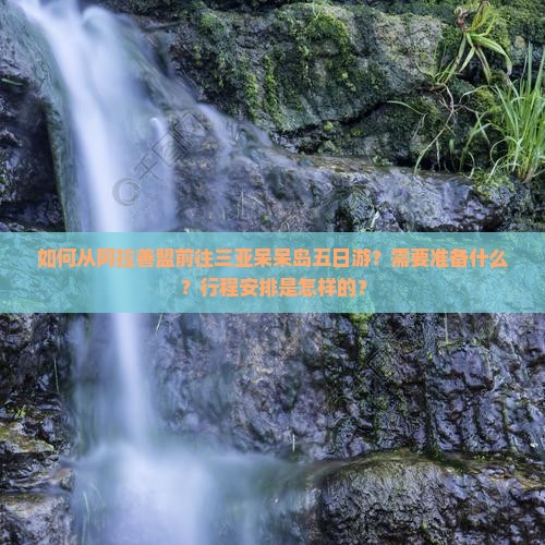 如何从阿拉善盟前往三亚呆呆岛五日游？需要准备什么？行程安排是怎样的？